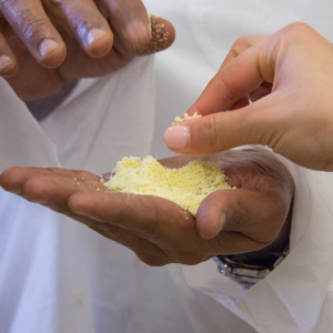 Gulf TE_PP_170824_67